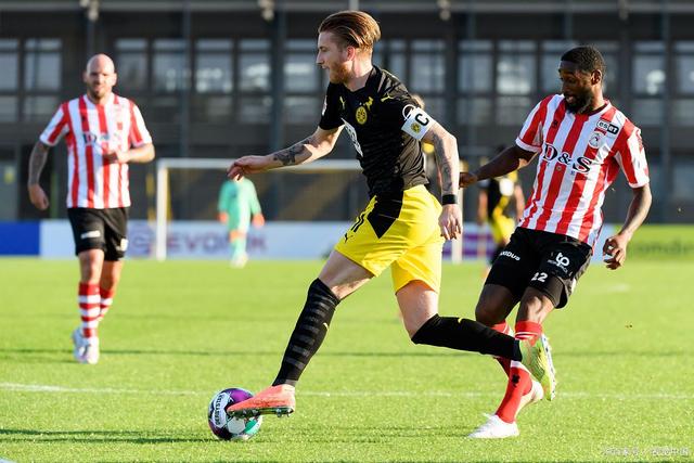 展示了他们 展示了他们