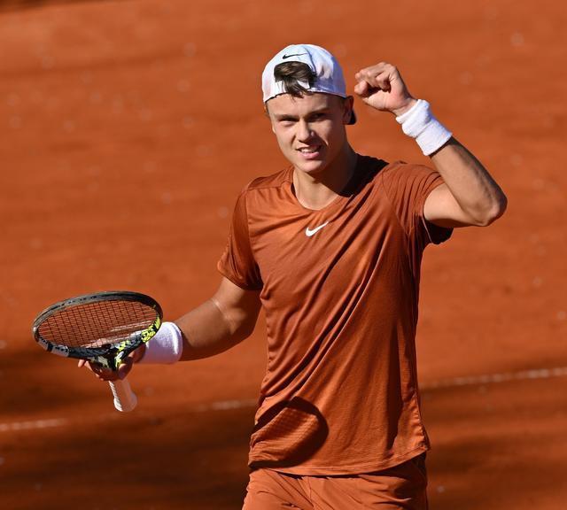 会有望成为 会有望成为