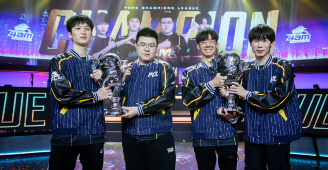 不仅局限于 不仅局限于